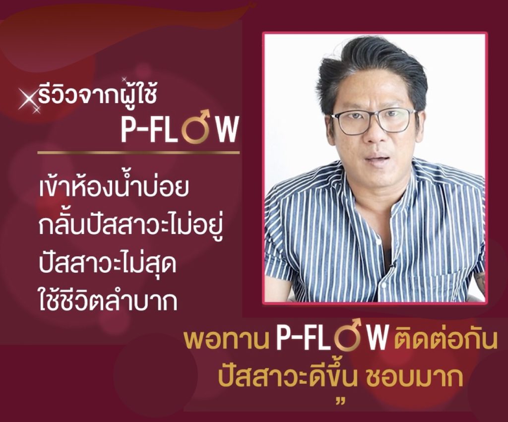 เว็บpflow1(10)