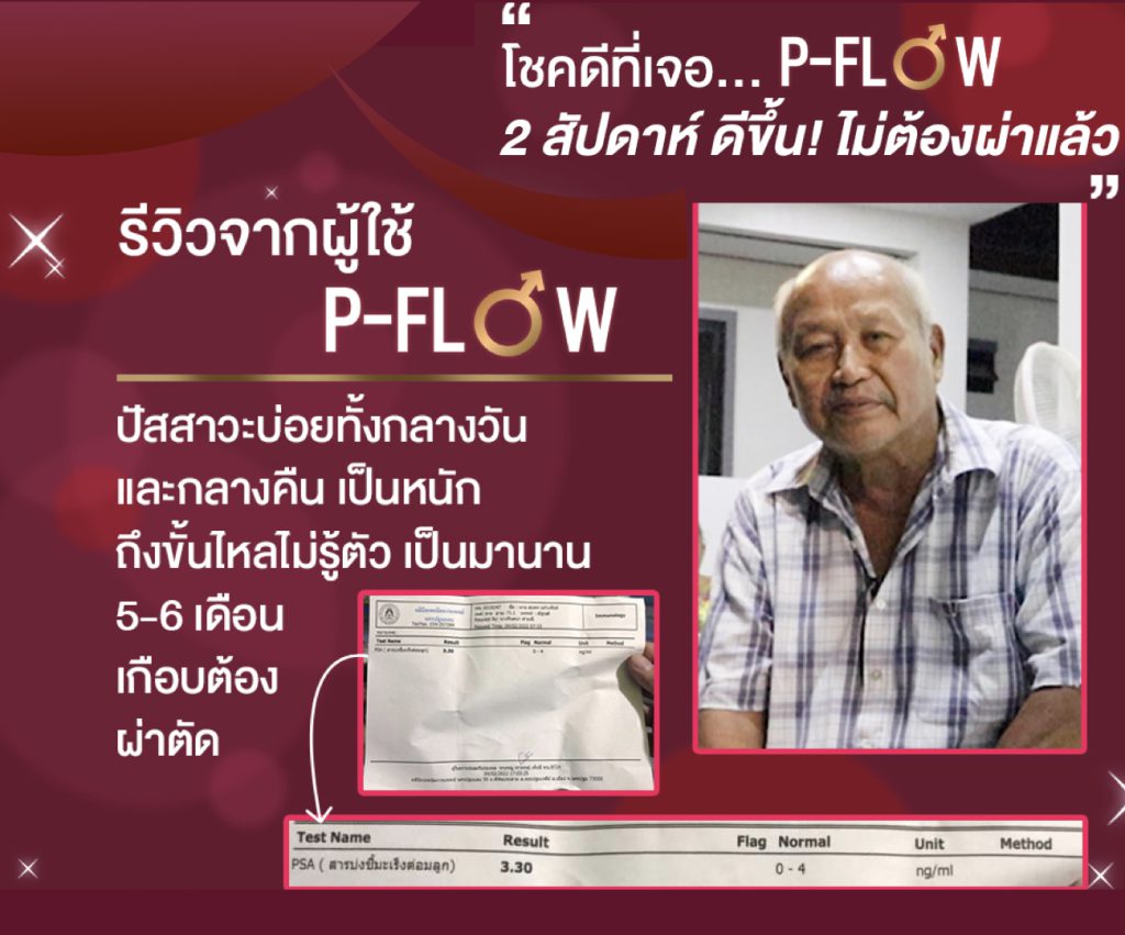 เว็บpflow1(11)