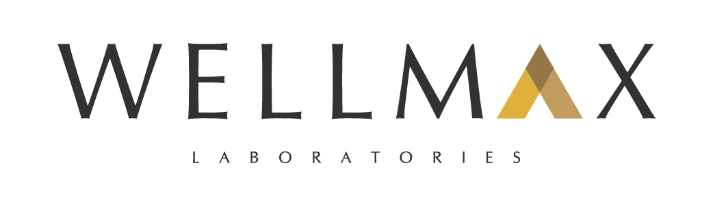 Wellmax Logo
