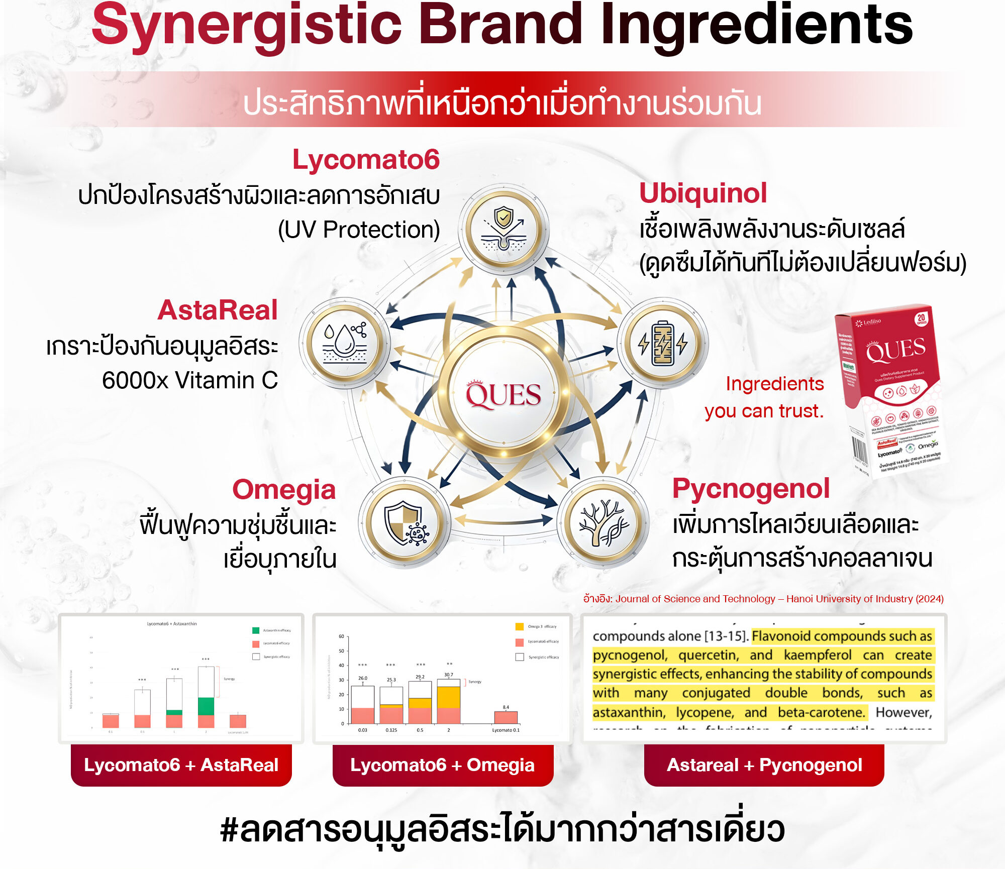 Synergistic Brand Ingredients ของ QUES