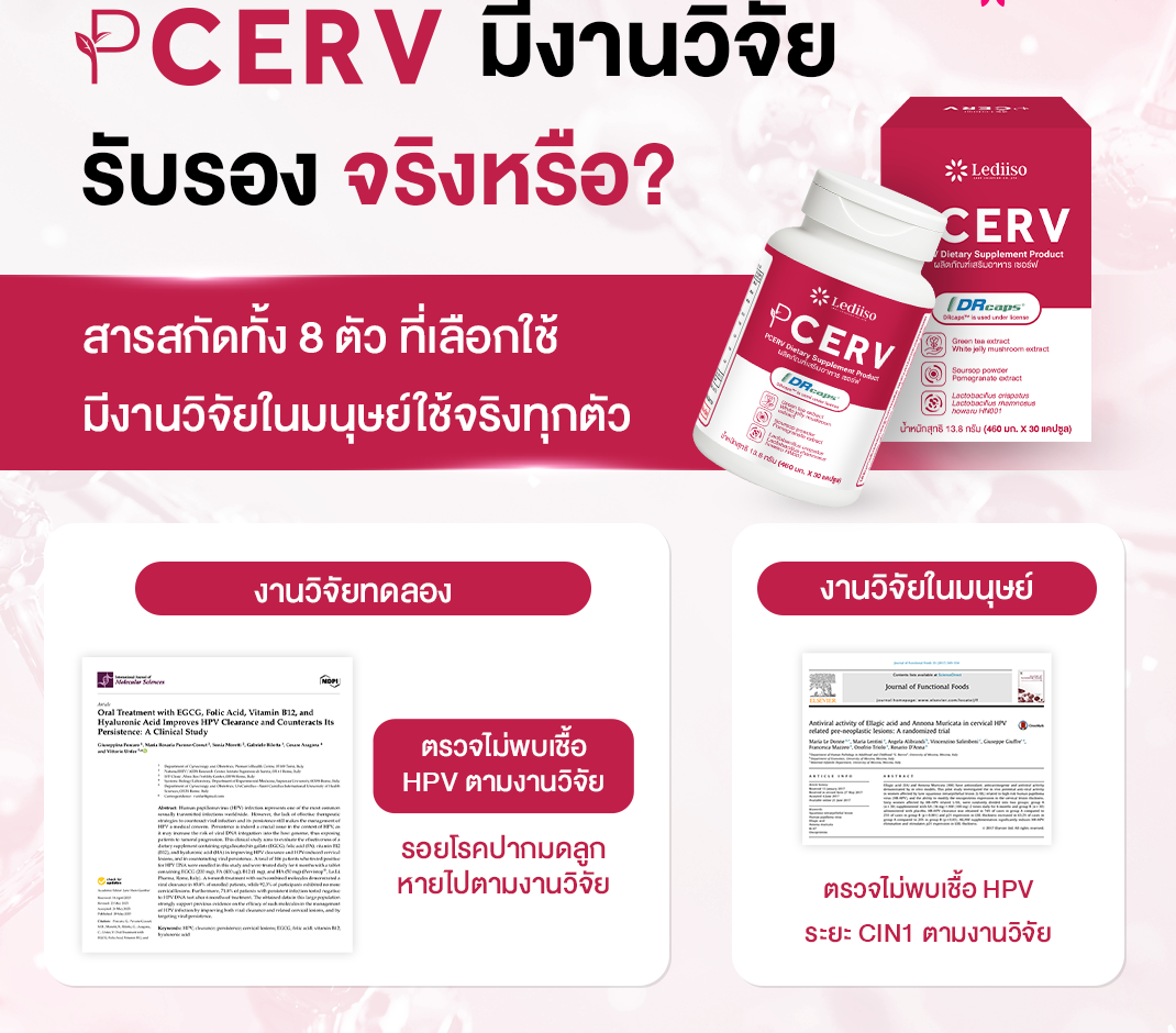 ข้อมูลเกี่ยวกับงานวิจัยของสารสำคัญที่เกี่ยวข้องกับ PCERV