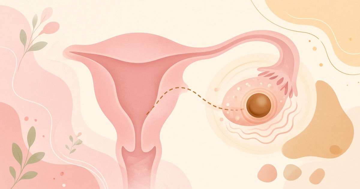 OG cover: ช็อกโกแลตซีสต์ adenomyosis และฮอร์โมน